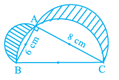 Page -- Sample Paper I Class 10th NCERT Exemplar